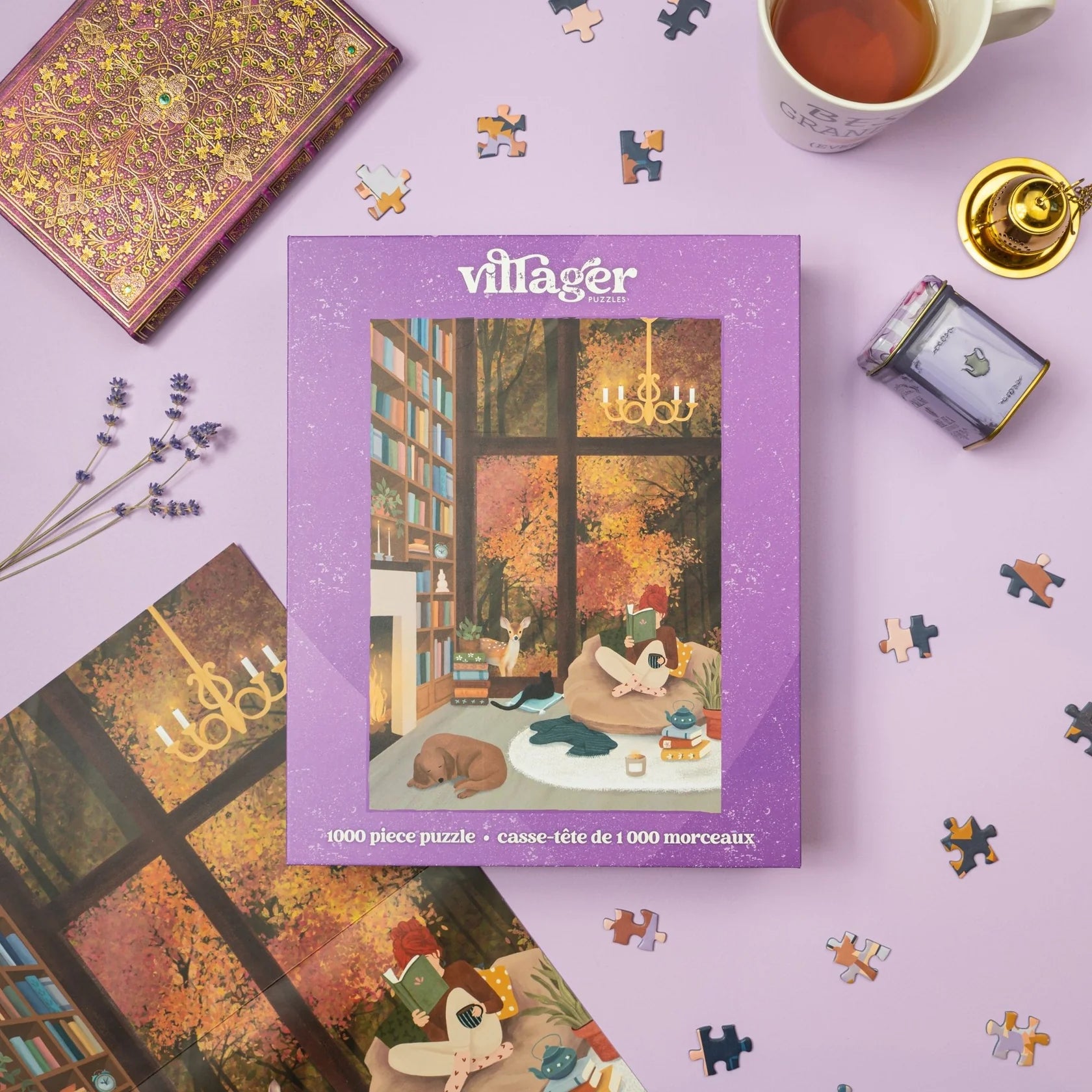 Villager - Dream Library